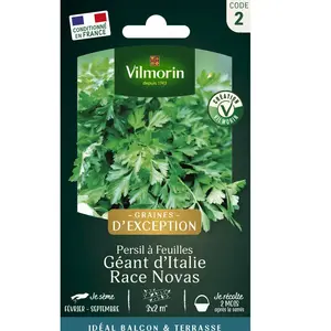 VILMORIN Persil géant d’Italie race Novas