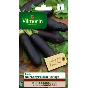 VILMORIN Radis noir long poids d'horloge pas cher