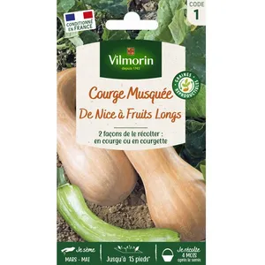 Courge de Nice à fruit long - VILMORIN - Variété traditionnelle très productive
