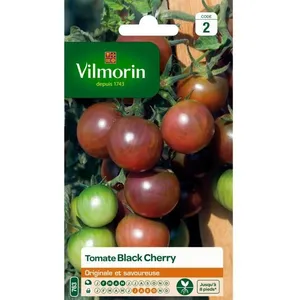 VILMORIN Tomate Black Cherry Sachet de graines pas cher