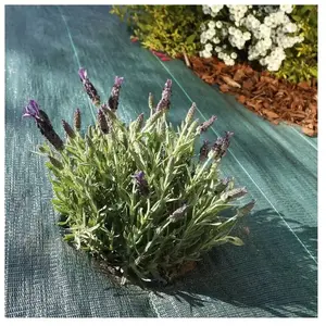 VILMORIN Toile de paillage tissée 90 g / m² 1.6 m x 20m pas cher