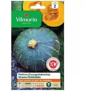 VILMORIN Sachet graines Potiron ( courge Kabocha ) Green Hokkaido pas cher
