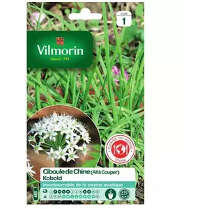 VILMORIN Sachet graines ciboule de chine pas cher