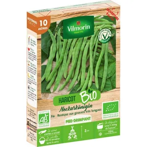 VILMORIN Graines de Haricot vert sans fil neckarkönigin bio 10 mètres pas cher