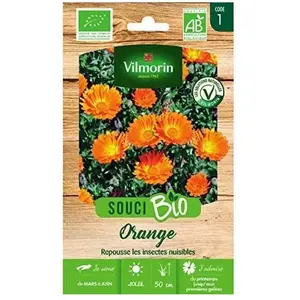Vilmorin Sachet graines Souci Orange Bio - Calendula officinalis pas cher