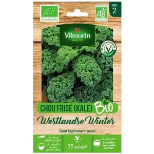 VILMORIN Sachet graines Chou Frisé ( KALE ) Westlandse Winter BIO - Brassica oleracea var. sabellica pas cher