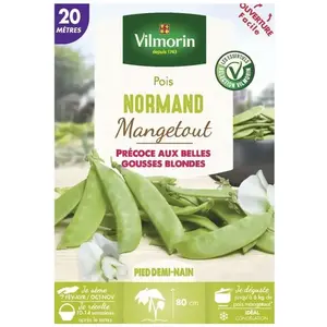 VILMORIN Pois Mangetout Normand - 20 M pas cher