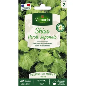 VILMORIN Sachet graines Shiso Vert ( persil japonais )