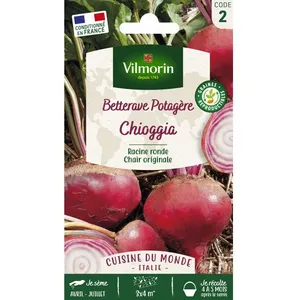 VILMORIN Sachet graines Betterave Chioggia
