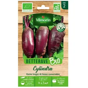 Betterave cylindra bio Vilmorin pas cher