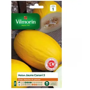 VILMORIN Sachet graines melon jaune canari