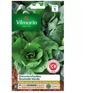 Vilmorin - Sachet graines Chicorée à feuilles Grumolo Verde pas cher