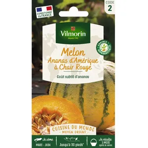 VILMORIN Sachet graines melon ananas- pas cher