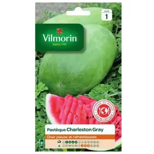 VILMORIN Sachet graines Pastèque Charleston Gray