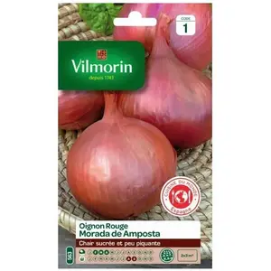VILMORIN Sachet graines Oignon rouge Morada de Amposta