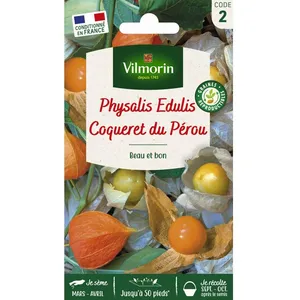 VILMORIN Physalis Edulis Coqueret du Pérou pas cher