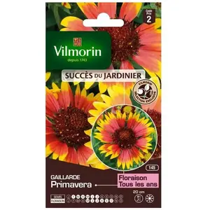 VILMORIN Gaillarde primavera pas cher