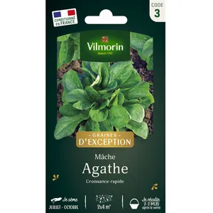 VILMORIN Mâche Agathe