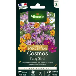 VILMORIN Cosmos feng shui en mélange pas cher