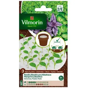 VILMORIN Tapis graines trio de Basilic - 3 x Ø10 cm