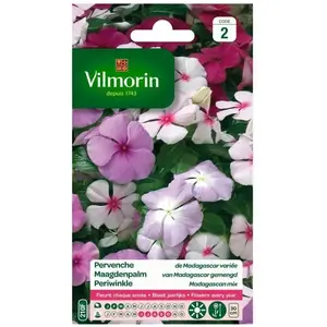 VILMORIN Pervenche de Madagascar pas cher