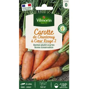 VILMORIN Carotte de Chantenay à coeur rouge 2