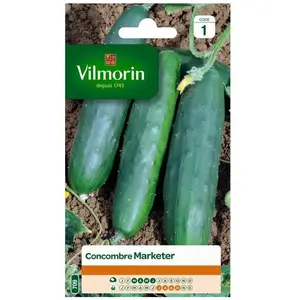 VILMORIN Concombre marketer