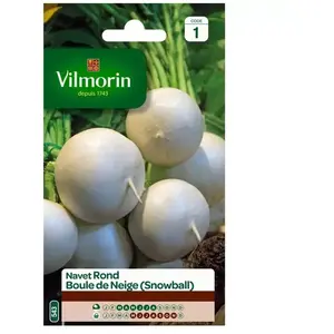 VILMORIN Navet rond boule de neige