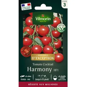 VILMORIN Tomate harmony Sachet de graines