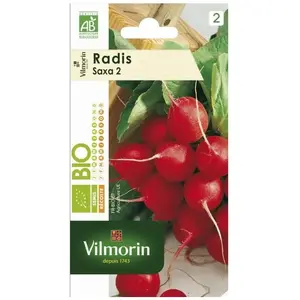 Graines - Vilmorin - Radis Saxa 2 - BIO pas cher