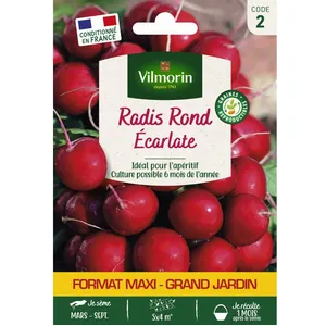 Vilmorin Radis rond Ecarlate pas cher