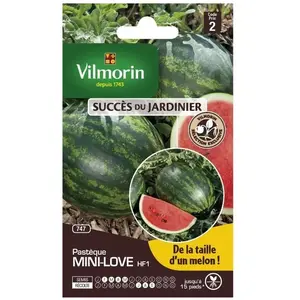 VILMORIN Pasteque mini love pas cher