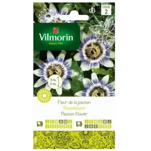 VILMORIN Sachet graines Fleur de la Passion