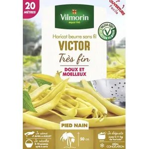 VILMORIN Graines de haricot victor - 20 M pas cher