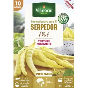 VILMORIN Graines de haricot serpedor nains à gousses plates - 10 M pas cher