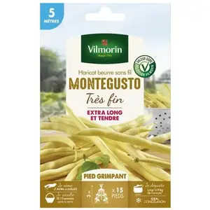 VILMORIN Haricot beurre sans fil MONTEGUSTO très fin - 5 mètres