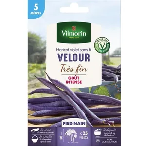 VILMORIN Graines de haricot velour gousse violette - 5 M pas cher