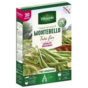 VILMORIN Graines de haricot à rames montebello - 20 M