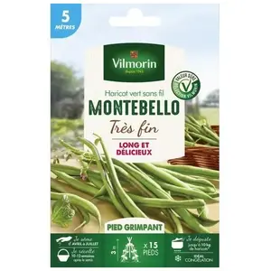 Graine - Vilmorin - Haricot Grimpant Vert Montebello - 5 m pas cher
