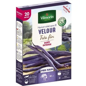 VILMORIN Graines de haricot velour gousse violette - 20 M