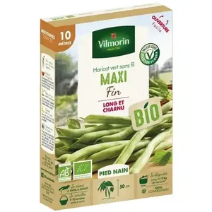 Graines de haricot vert sans fil - VILMORIN - Haricot maxi bio - Productif et précoce - Facile à récolter