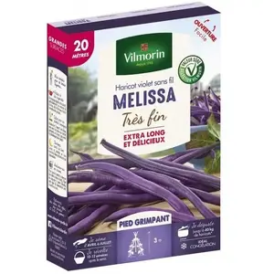 VILMORIN Graines de haricot mélissa à cosse violette - 20 M