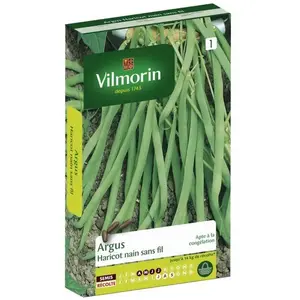VILMORIN Graines de haricot argus - Marron bleuté