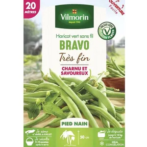 VILMORIN Graines de haricot nain à filet sans fil bravo - 20 M
