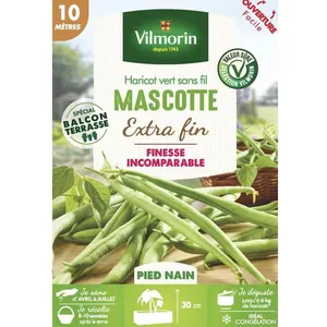 VILMORIN Graines de haricot mascotte - 10 M pas cher