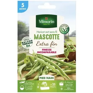 VILMORIN Graines de haricot mascotte - 5 M