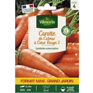 VILMORIN Graines de carotte de colmar à coeur rouge 2 pas cher
