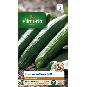 VILMORIN Graines de concombre murat