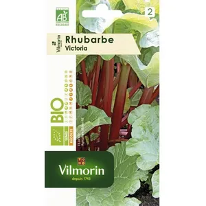 VILMORIN Graines de rhubarbe victoria - Bio pas cher