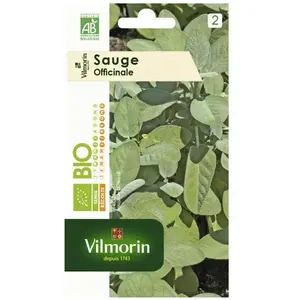 VILMORIN Graines de sauge - Bio
